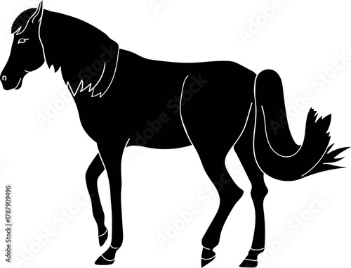 Black silhouette of horse isolated on white background