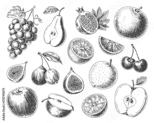 Collection of hand drawn fruits in sketch style