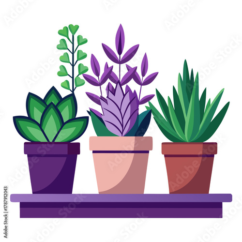 Three potted plants in various colors on a shelf