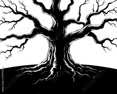 Stylized black and white illustration of an ancient gnarled tree with exposed roots