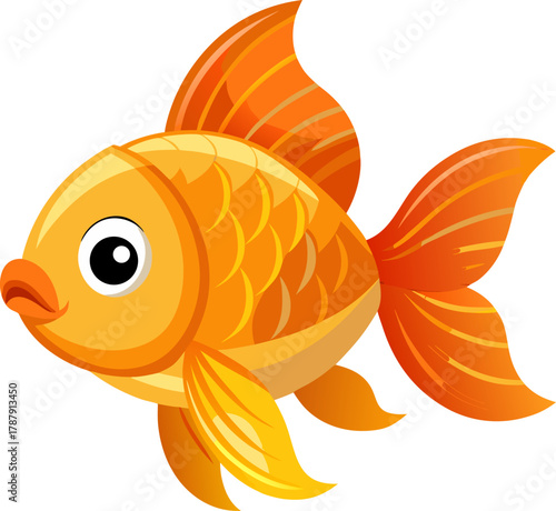 gold fish isolated on white background