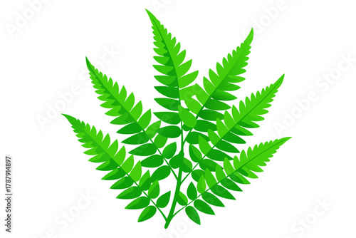cannabis leaf isolated on white background