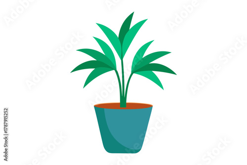 plant in pot