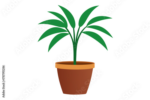 plant in pot