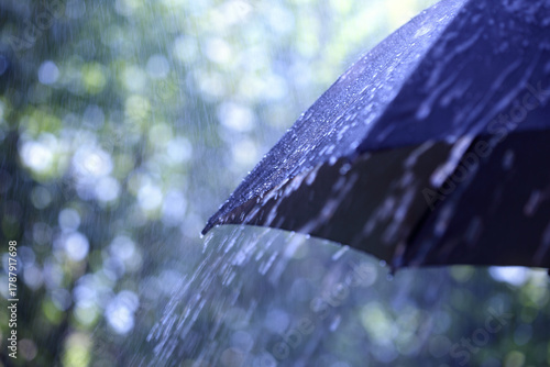 Rain on umbrella