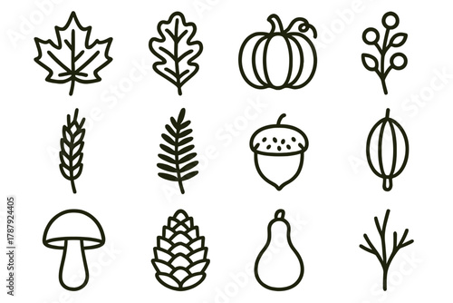 Autumn Garden Icons. Autumn Garden outline icon set: maple leaf, oak leaf, pumpkin vine, berry stem, wheat stalk, fern, acorn, seed pod, mushroom, pinecone, gourd, branch.