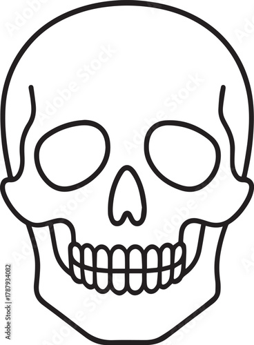 Front View Human Skull Outline