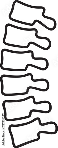Simple Vertebral Column Outline