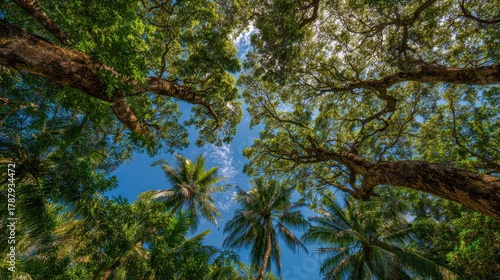 Lush jungle trees against a bright blue sky Serene nature image Vertical wide angle Suitable for editorial travel or environmental content