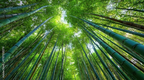 A lush bamboo grove with tall stalks fosters a calming ambiance inspiring tranquility growth and balance through its greenery and verticality