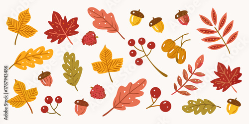 Collection of autumn leaves acorns berries and other fall elements in warm colors