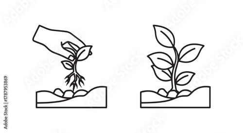 A minimalist line icon set illustrating the process of a hand planting a small seedling with roots into the soil, representing growth, gardening, and new beginnings