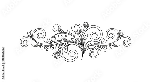 Elegant floral ornament with delicate swirls and blooming tulips design element for graphic design