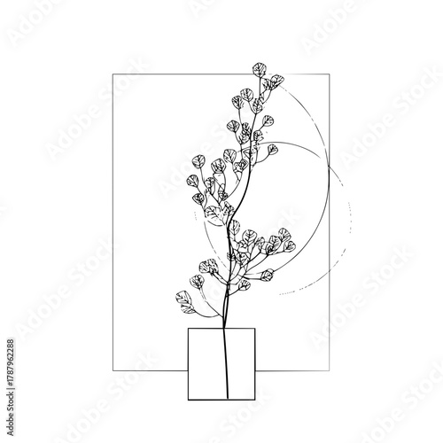 Elegant botanical line art illustration
