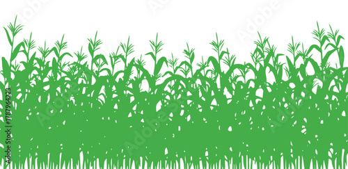 Cornfield outline featuring space for text.