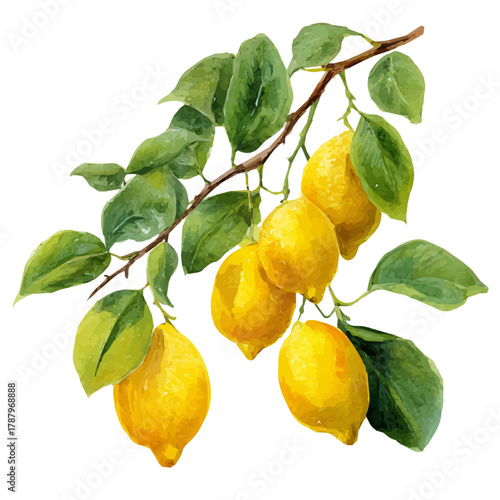 My Watercolor design, Lemons on a branch paintings isolated on a white background, illustration, AI painting design, vector set, eps format 2d design, fruit set
