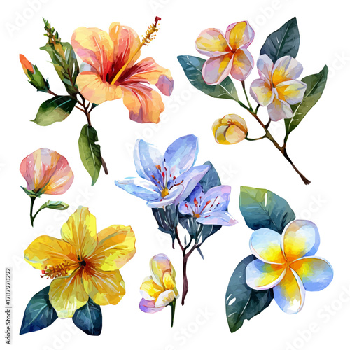 Beautiful Watercolor design, set of tropical flowers  hibiscus and plume paintings isolated on a white background, illustration, AI painting design, vector set, eps format 2d design