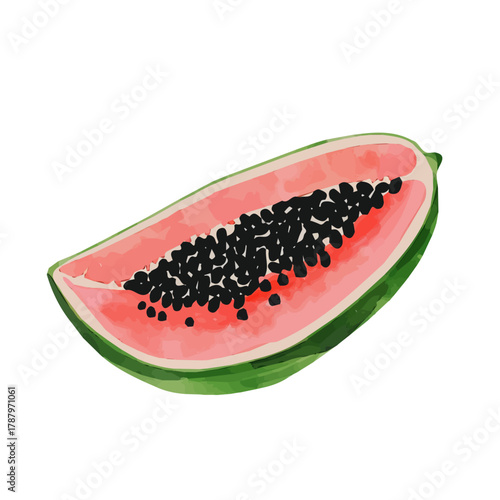 Beautiful Watercolor design, flat sliced ackee fruit paintings isolated on a white background, illustration, AI painting design, vector set, eps format 2d design