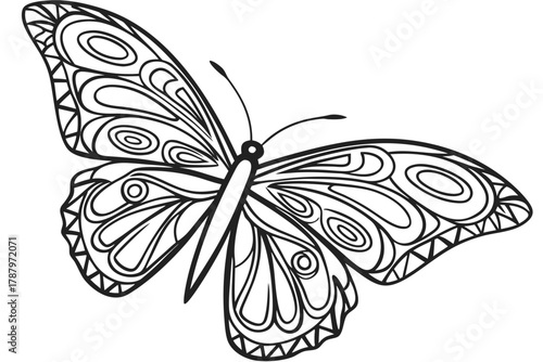 Continuous line butterfly wings — symmetrical abstract pattern, black and white vector background