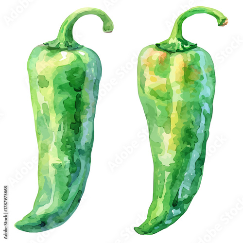 Beautiful Watercolor design, simple flat sliced green chili paintings isolated on a white background, illustration, AI painting design, vector set, eps format 2d design