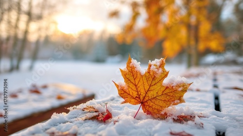 Orange maple leaf rests on a snow-covered wooden table in the park, surrounded by scattered autumn leaves—blending winter’s white frost with fall’s warm hues in a serene outdoor scene.
