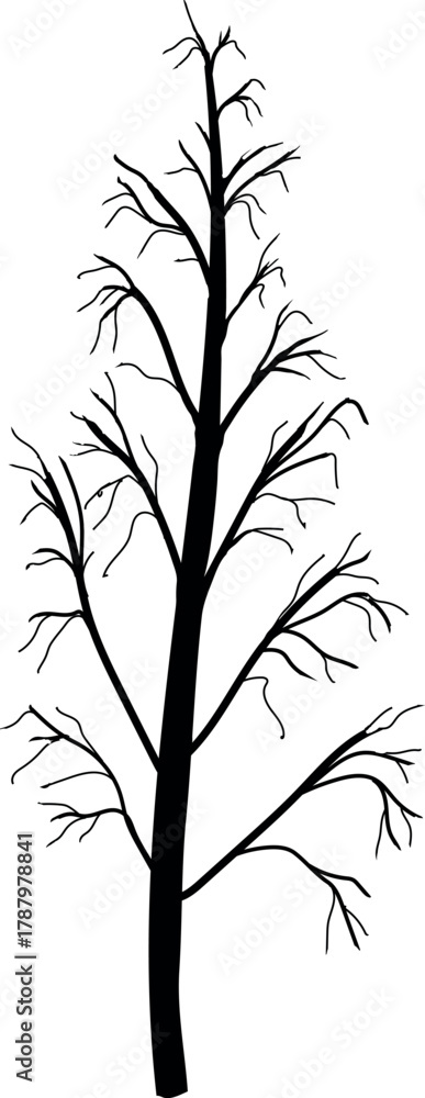 Naklejka premium Black silhouette of tree with bare branches without leaves isolated on white background