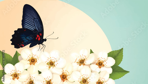 A beautiful blue butterfly resting on soft white blossoms. Delicate butterfly perched on flowers with a soft pastel backdrop. Nature's elegance with a blue butterfly and white flowers