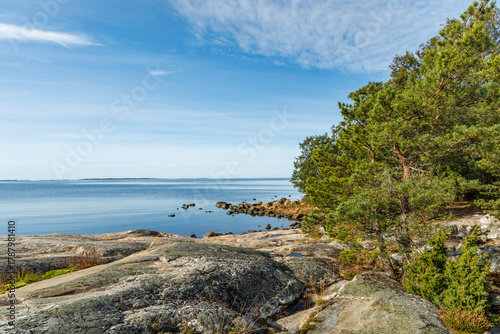 Slika na platnu Sunny Scandinavian archipelago coastline with rugged granite rocks, green pine trees, and calm blue Baltic Sea water under a clear sky