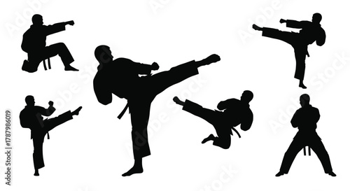 Martial arts silhouettes depict dynamic poses and movements of a fighter