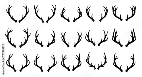 A collection of various black and white deer antlers in a grid pattern