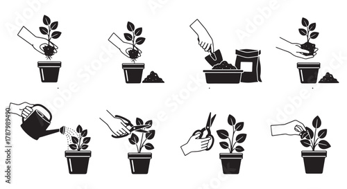 Instructional icon set for home gardening, detailing the step-by-step process for transplanting and caring for a potted houseplant