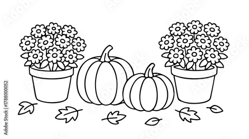Pumpkins next to potted flower plant. Black and white line art illustration. Simple vector outline arrangement. For autumn holiday coloring pages, Thanksgiving invitations, seasonal design projects