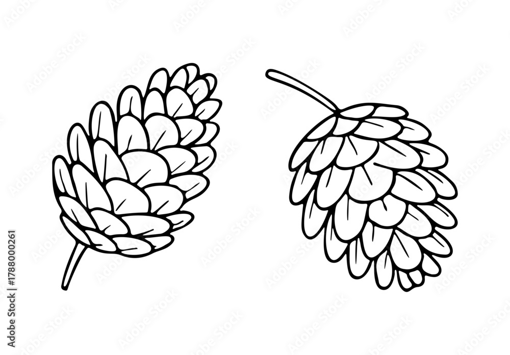 Fototapeta premium Pine cones, one with a small stem. Black and white line art. Stylized vector outlines, perfect for coloring pages, winter holidays, nature themes, craft projects, and seasonal decorative elements.