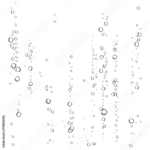 Oxygen air bubbles  flow  in water on white  background.