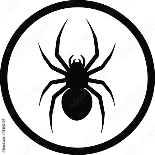 Illustration of a spider arachnid in a circle silhouette vector
