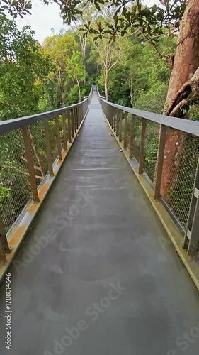 Walking through rainforest bridge above dense green trees Penang Hill, Malaysia
