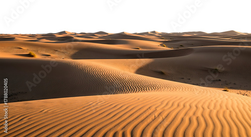 Golden sand dunes sculpted by wind under a dark night sky in a vast desert landscape