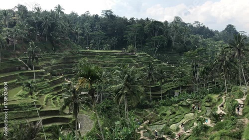 Bali Ubud - Tegalalang rice field terrace
