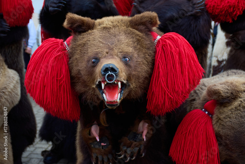 the festival of winter customs and traditions from Comanesti, Bear Dance, Bacau, Romania