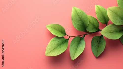 Green leaves arranged elegantly on a soft coral pink background, showcasing vibrant hues and delicate textures for nature-inspired design elements.