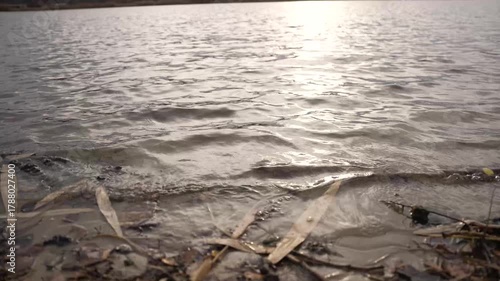 Rippling lake water gently touching the shore, creating small waves, with fallen leaves and debris. Reflecting sunlight