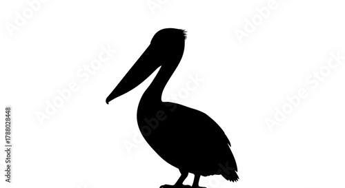 Black silhouette of a standing pelican bird on a white background.