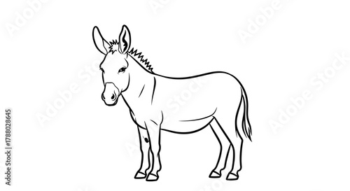 Donkey standing in a white background side view line art.