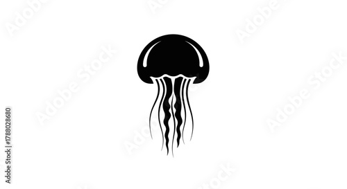 Elegant black jellyfish silhouette on a white background.