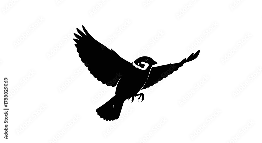 Obraz premium Silhouette of a bird in flight with wings spread wide.