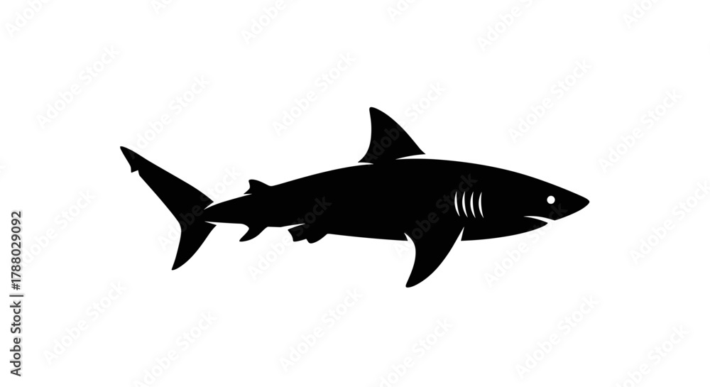 Fototapeta premium Silhouette of a Great White Shark swimming in the ocean.