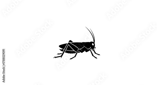 Silhouette of a Grasshopper on a White Background.