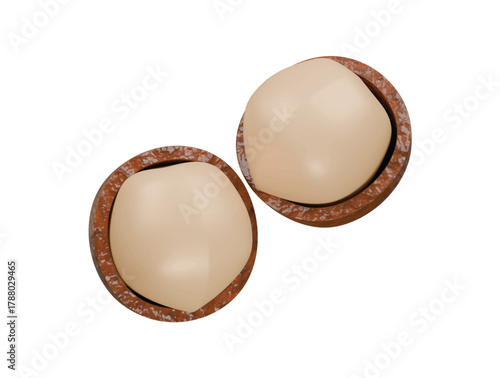 macadamia icon 3d illustration render