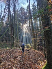 Handdoek met foto Huisarts Kind in herfstzon op open plek  © rbkelle