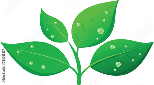 Realistic green plant leaves with water droplets, macro style.